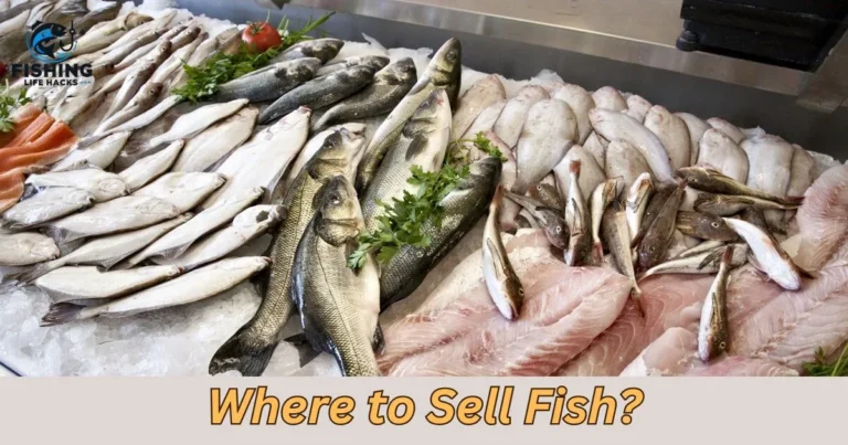 Where to Sell Fish: A bustling fish market with colorful stalls showcasing fresh seafood, including various fish species, crabs, and shrimp.