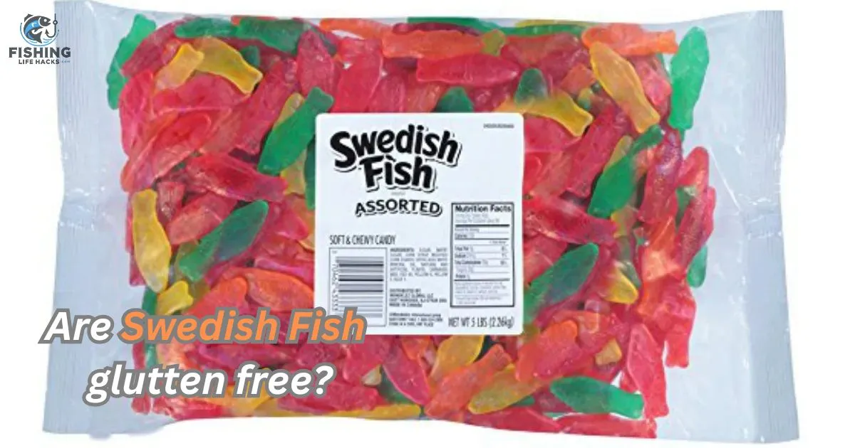 Are Swedish Fish gluten free? Yes, Swedish Fish candies are typically gluten-free as they do not contain any wheat, barley, or rye ingredients.