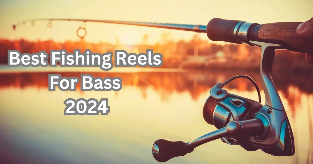 Best spinning fishing reels for bass displayed on a wooden surface, featuring sleek designs with smooth drag systems, lightweight aluminum frames, and ergonomic handles, ideal for catching bass in both freshwater and saltwater conditions.