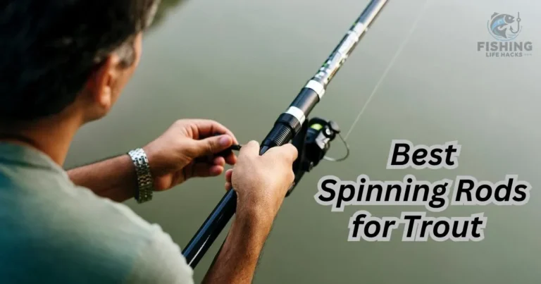 Best Spinning Rods for Trout – A collection of lightweight and durable spinning rods arranged neatly on a wooden surface, showcasing sleek designs, ergonomic handles, and high-quality reel seats. Perfect for trout fishing, these rods are known for their flexibility, sensitivity, and smooth casting action.