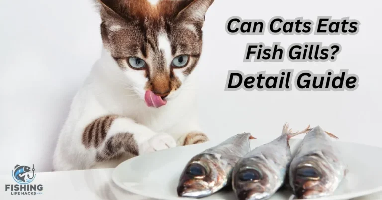 Can cats eat fish gills? A close-up image of a curious tabby cat sniffing at a freshly caught fish, focusing on the gills. The fish lies on a wooden surface, and the cat’s whiskers are slightly raised as it inspects the fish with interest.