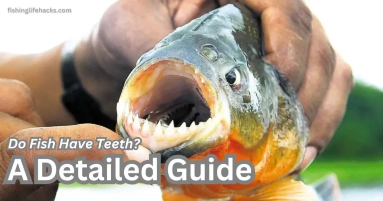 Do fish have teeth? Learn how different species of fish, like piranhas and sharks, use their teeth for feeding, defense, and survival, and discover which fish have the sharpest or most unique dental structures