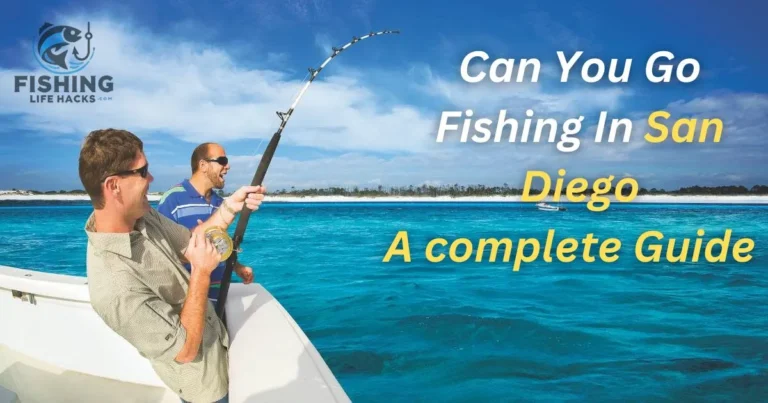 Fishing in San Diego offers a vibrant coastal experience, showcasing clear blue waters, scenic ocean views, and abundant marine life.