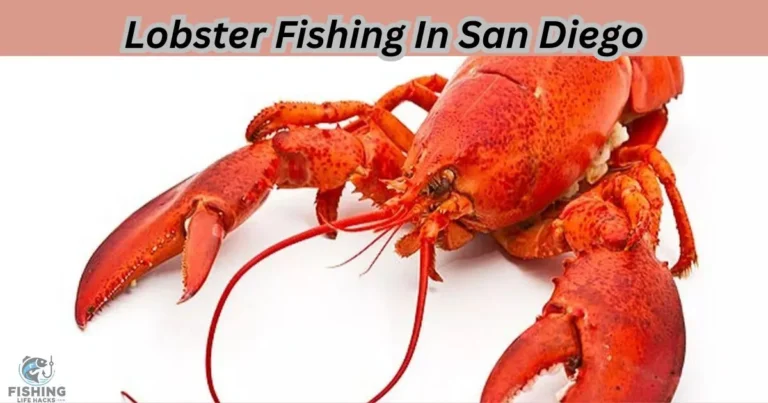 Where to Fish for Lobster in San Diego: A serene coastal view of San Diego’s shoreline at dusk, with rocky tide pools in the foreground and calm waves gently hitting the shore.