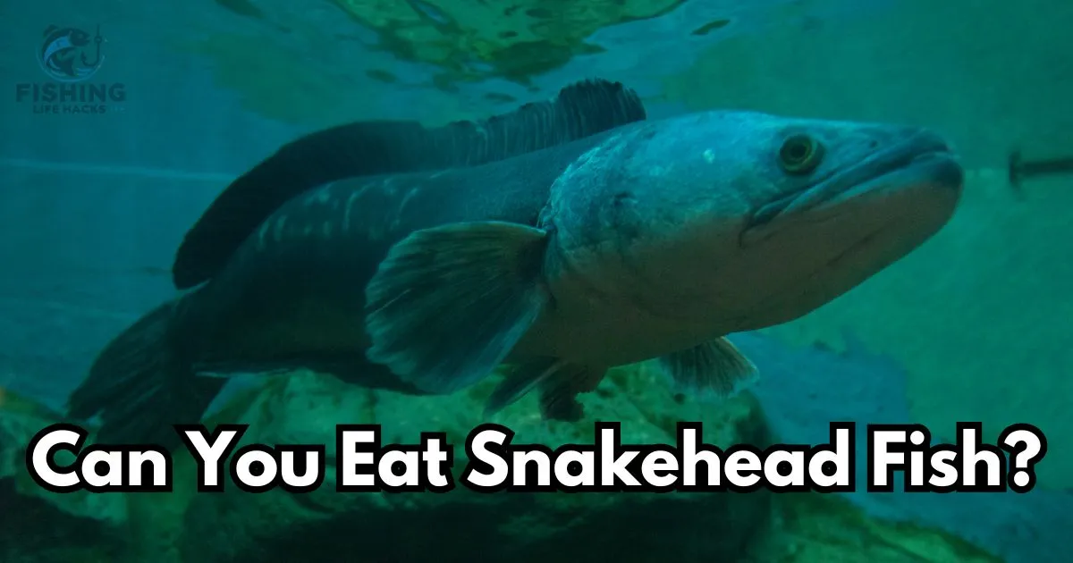 Can You Eat Snakehead Fish? Everything You Need to Know