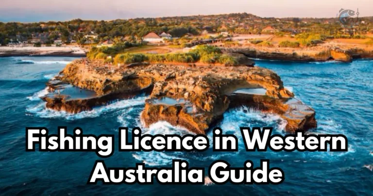 a guide on do you need fishing licence in western australia and how you can get?