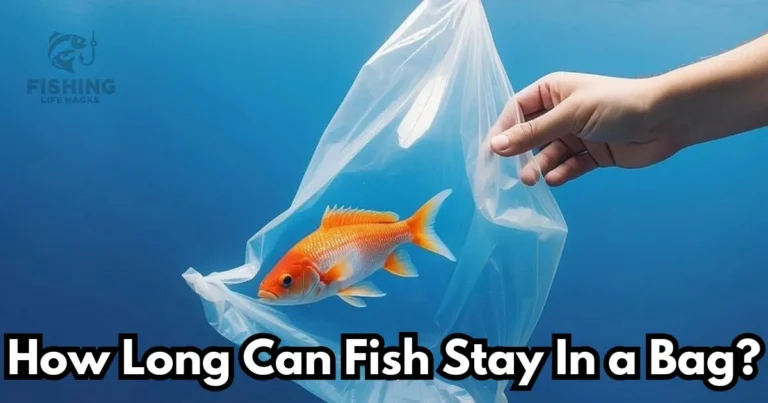 step by step guide for how long can fish stay in a bag and factors affecting survival time in a bag.