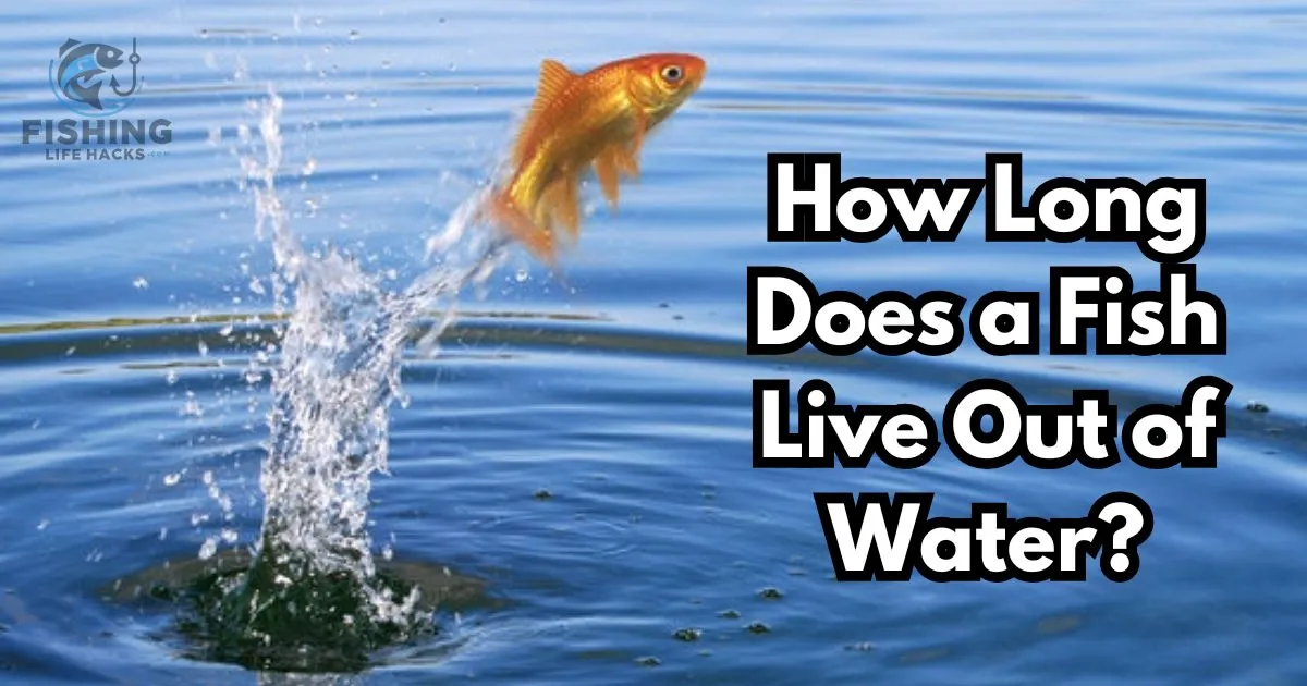 how long does a fish live out of water.