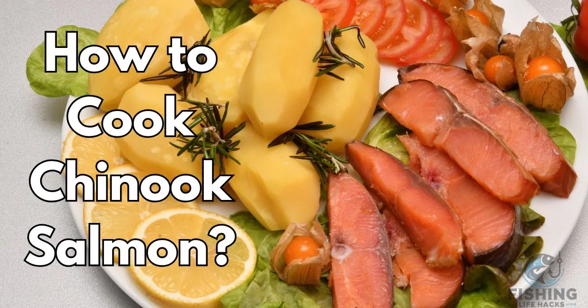 How to Cook Chinook Salmon? Detailed Guide