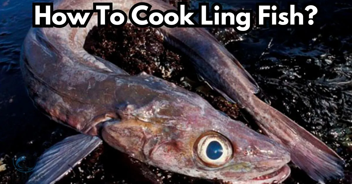 step by step guide for cooking ling fish with recipies