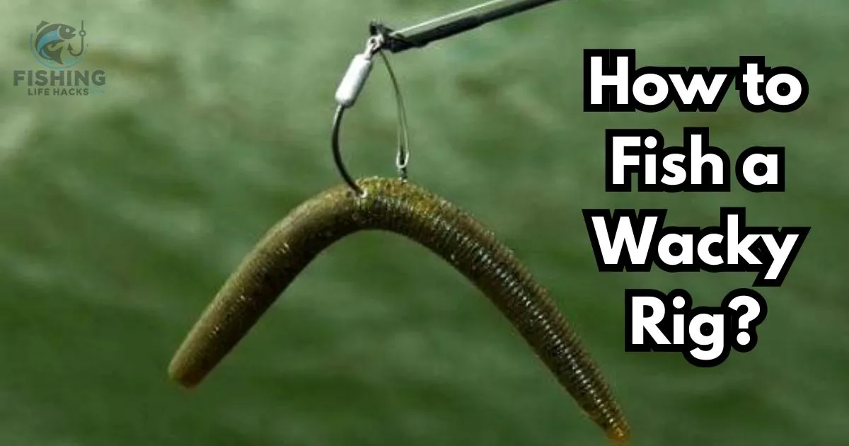 a complete guide on wacky rig for fishing.