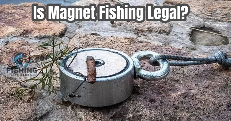 Person magnet fishing by a lake with a strong magnet attached to a rope, pulling up metal objects from the water.