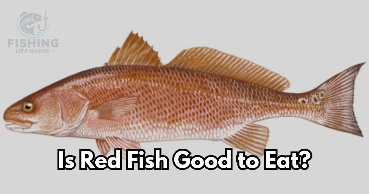 is redfish good to eat and its nutritional benefits.