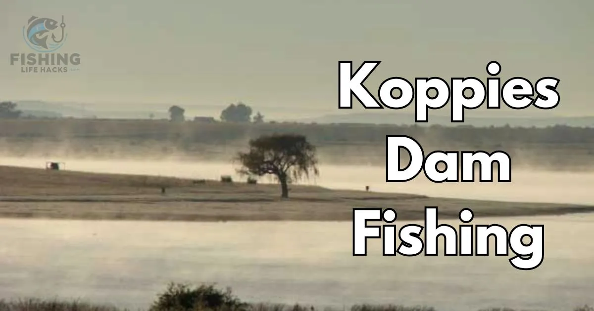 a complete guide on Koppies Dam Fishing?