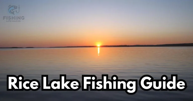 Rice Lake Fishing: Step-by-Step Guide 2024