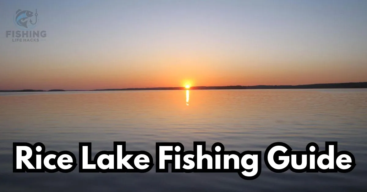 Rice Lake Fishing: Step-by-Step Guide 2024