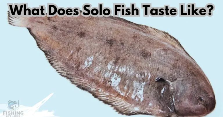 A guide for sole fish taste and how to cook it.