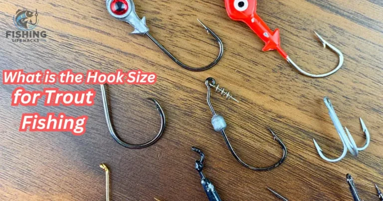 Step-by-Step guide for choosing the right hook size for trout fishing.