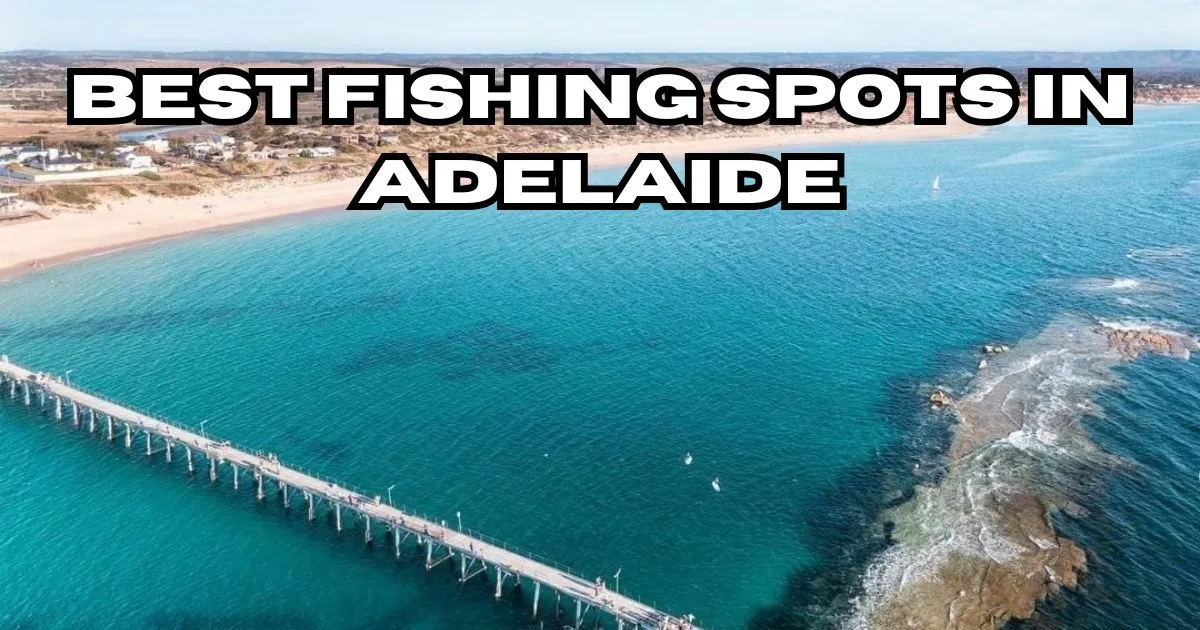 Guide to the top fishing locations around Adelaide.