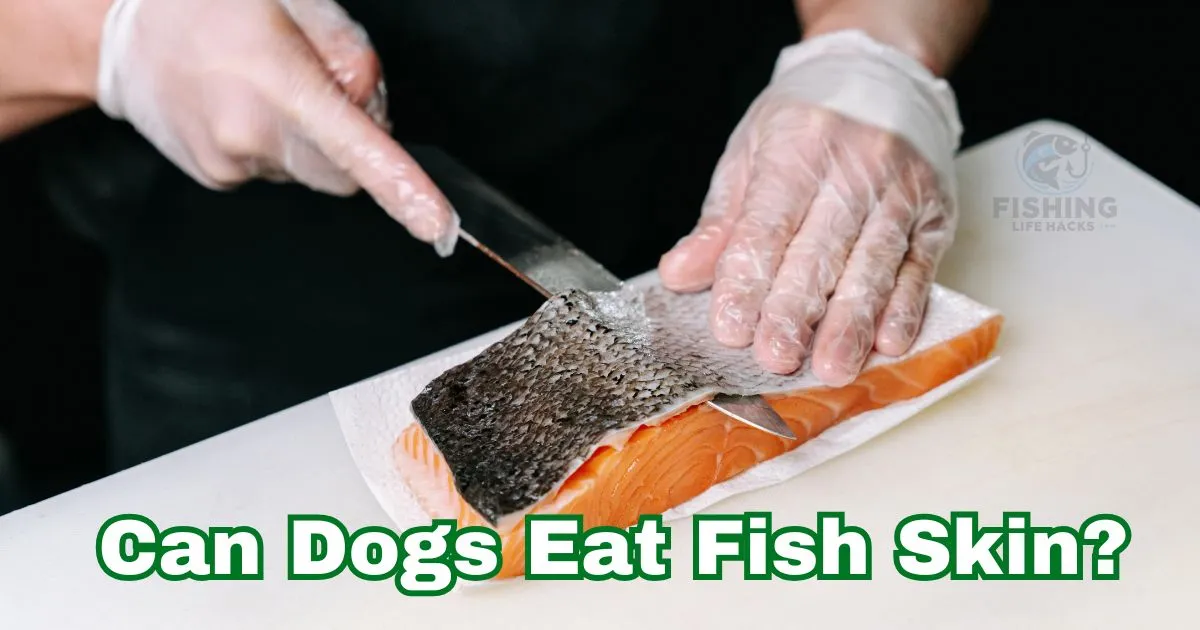 Can Dogs Eat Fish Skin? Guide for Dog Owners