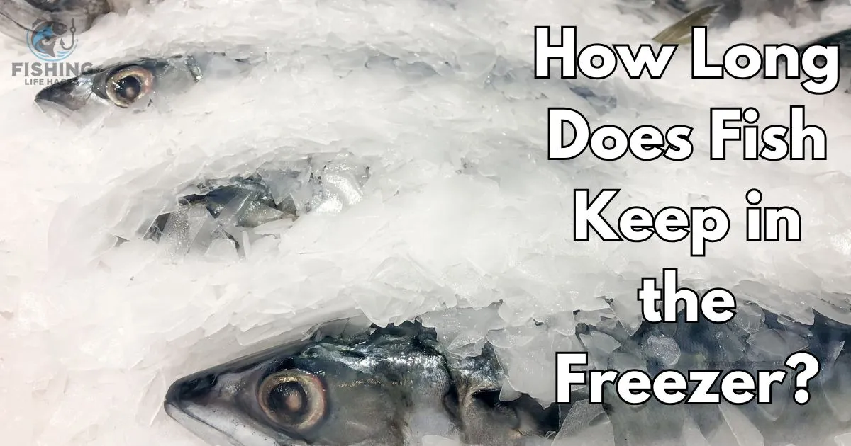 How Long Does Fish Keep in the Freezer?