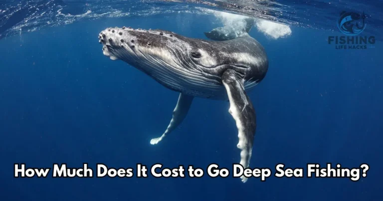 How Much Does It Cost to Go Deep Sea Fishing?