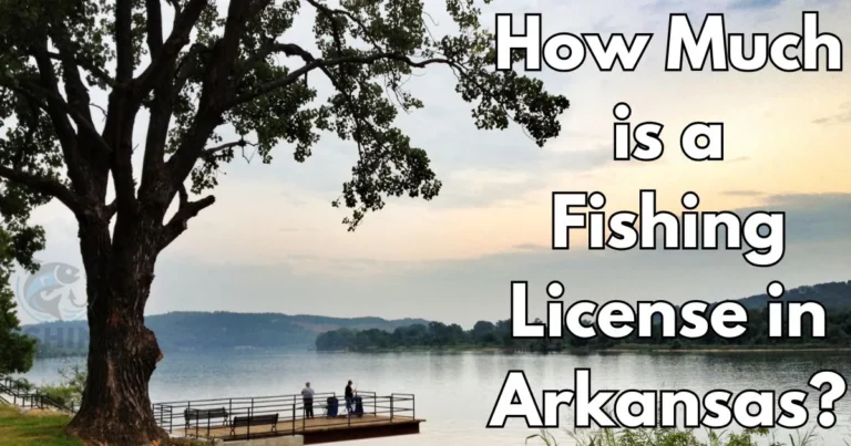 Detailed Guide on Fishing License in Arkansas?