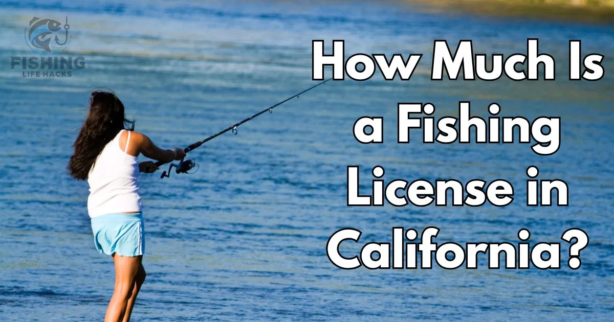 A detailed guide on How Much Is a Fishing License in California.