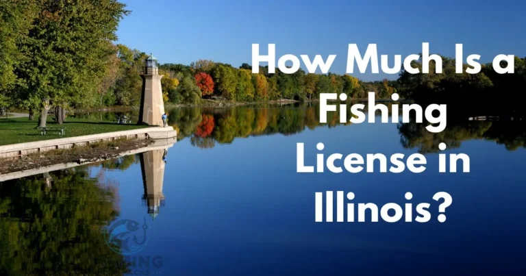 Fishing License in Illinois Cost