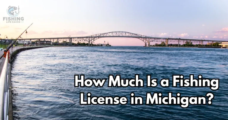 fishing license in Michigan