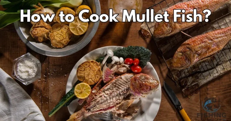 The Best Ways to Cook Mullet Fish