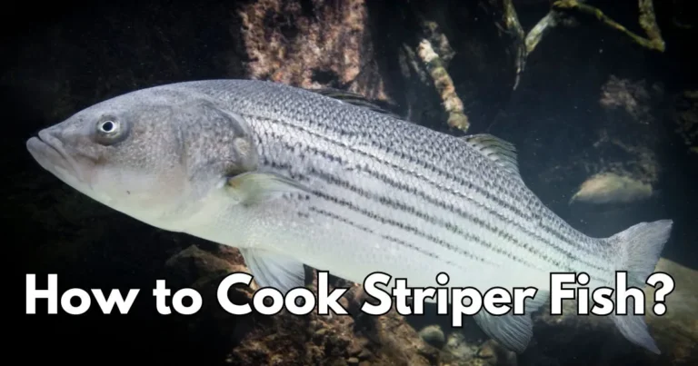 How to Cook Striper Fish? Guide to Perfectly Grilled