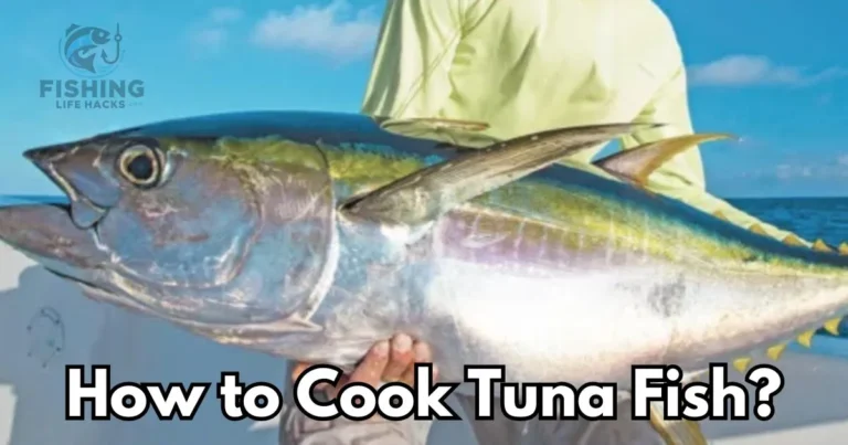 a detailed guide on tuna fish recipie