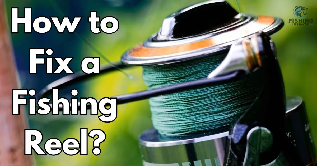 Fishing reel repair guide