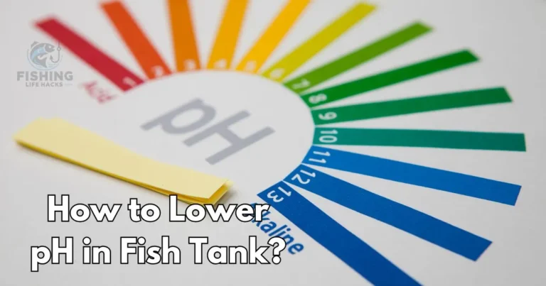 Lower pH Fish Tank Guide