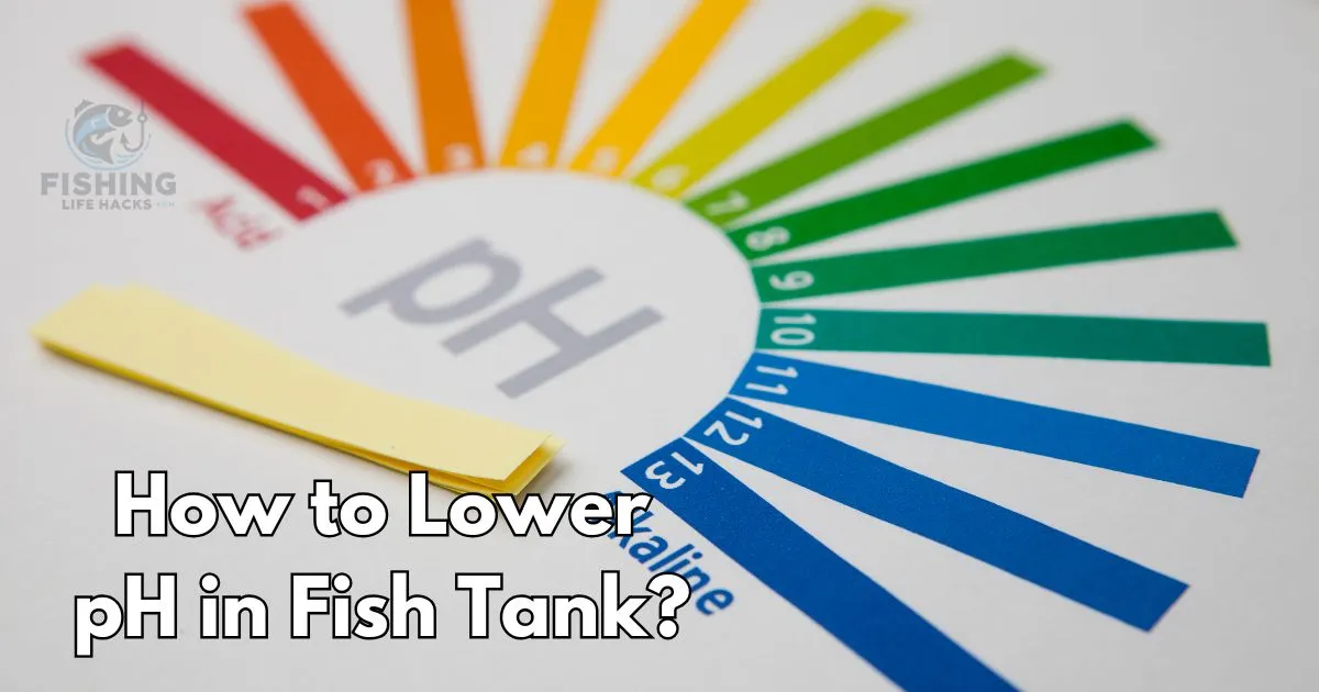 Lower pH Fish Tank Guide