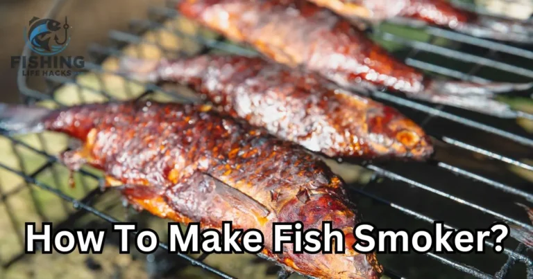 What is a Fish Smoker and how to make?