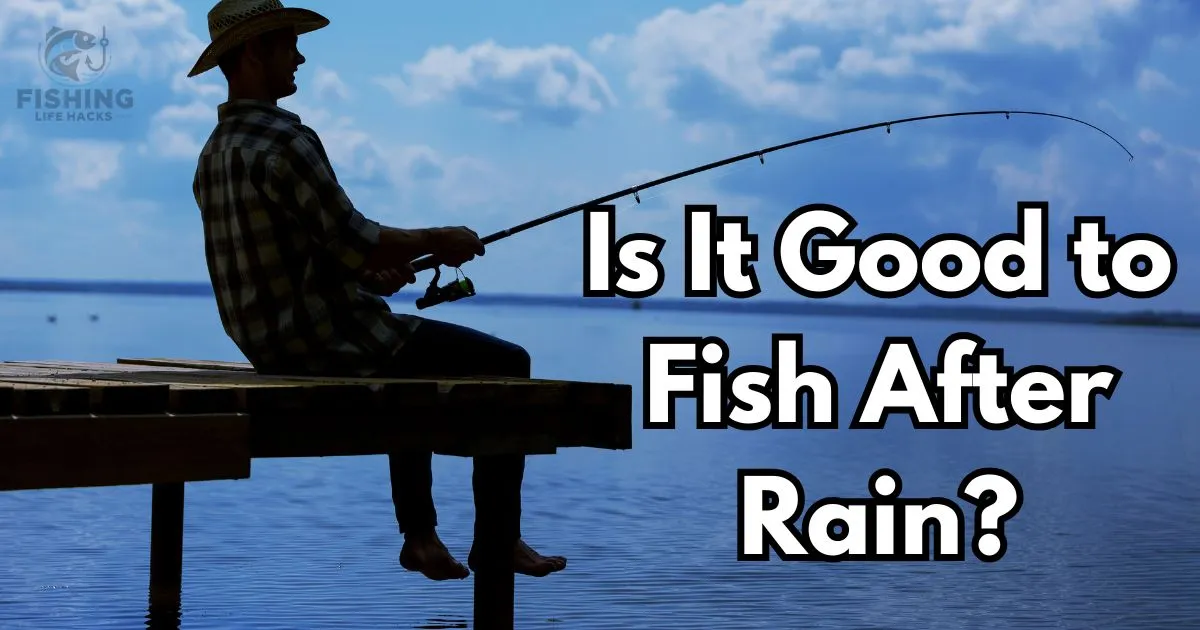 a guide on Is It Good to Fish After Rain?