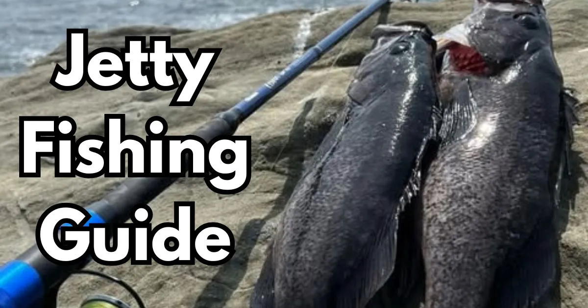 A guide to Jetty Fishing including tips and techniques.