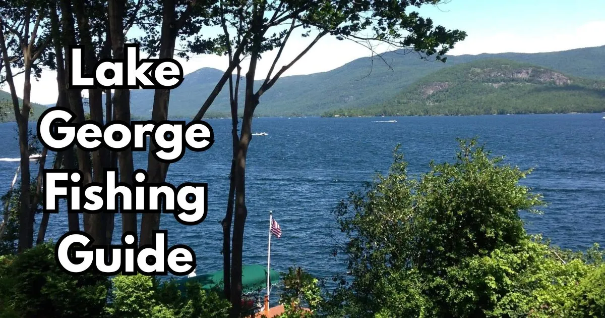 Discover the best fishing spots on Lake George! Get your free fishing guide today.