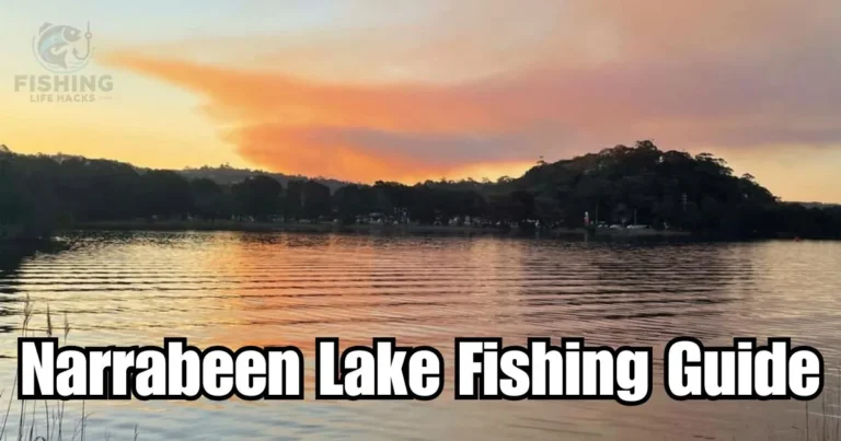 Step-by-Step Complete Guide for fishing at Narrabeen Lake