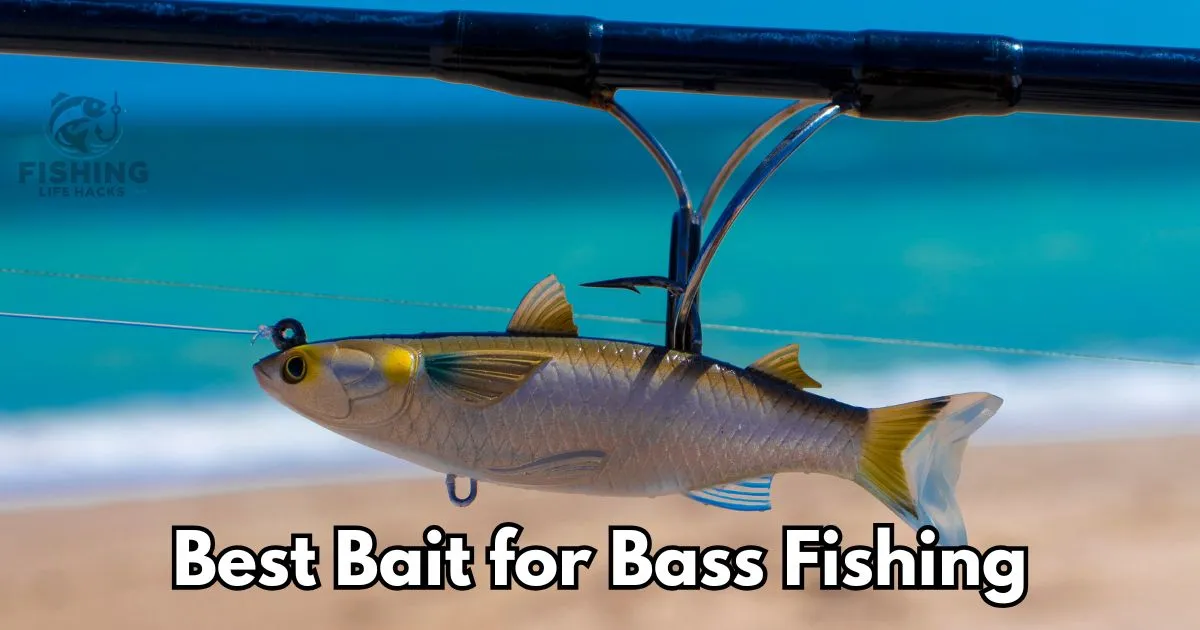 A detailed guide on Best Bait for Bass