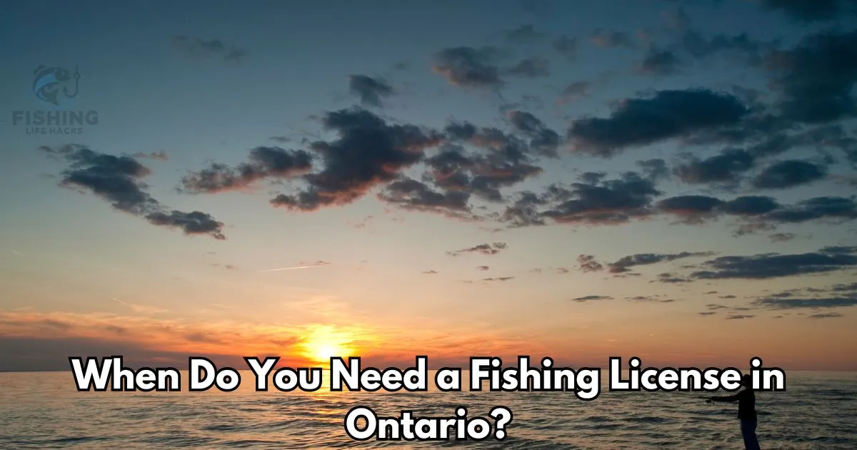 A guide to Fishing License in Ontario